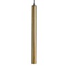 BrushGold +220