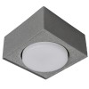 MoireSilver +110