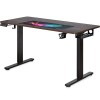 Стіл з електрорегулюванням висоти PowerDesk Duo  antique - 100548 – мініатюра 1