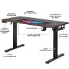 Стіл з електрорегулюванням висоти PowerDesk Duo  antique - 100548 – мініатюра 2