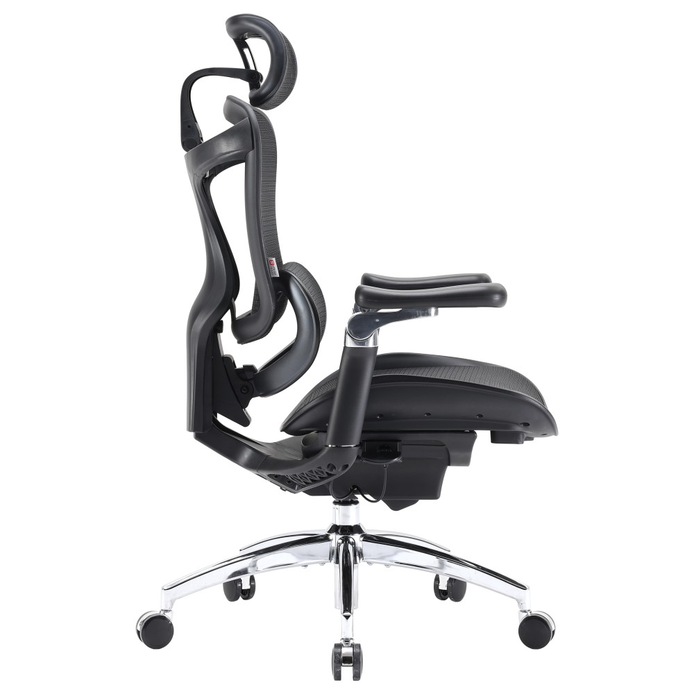 Крісло офісне Sihoo DORO C300 Pro Mesh Black чорний - 895918 – фото 5 Крісло офісне Sihoo DORO C300 Pro Mesh Black чорний - 895918 – фото 5