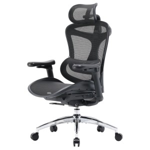 Кресло офисное Sihoo DORO C300L Mesh Black - 895916