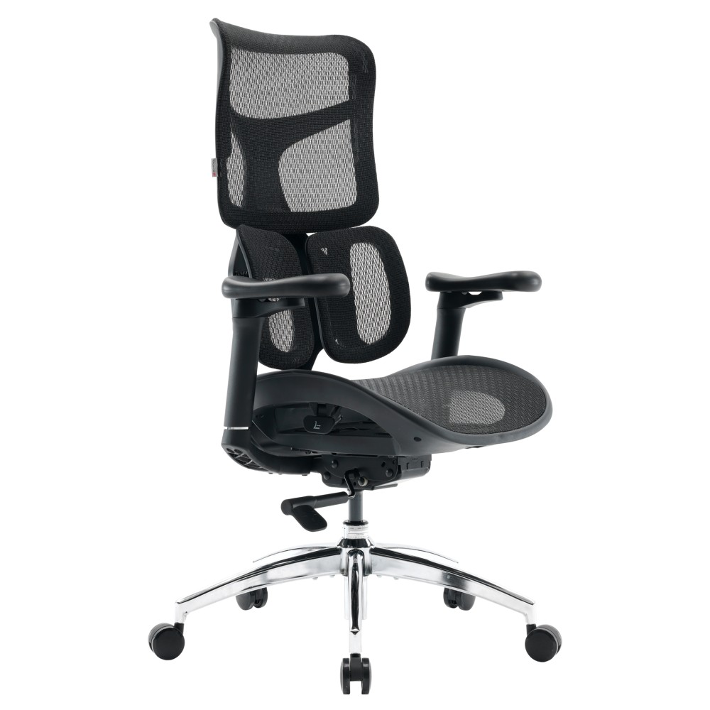 Крісло офісне Sihoo DORO S100 Mesh Black чорний - 895920 – фото 1 Крісло офісне Sihoo DORO S100 Mesh Black чорний - 895920 – фото 1