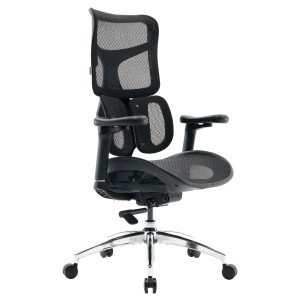Кресло офисное Sihoo DORO S100 Mesh Black - 895920