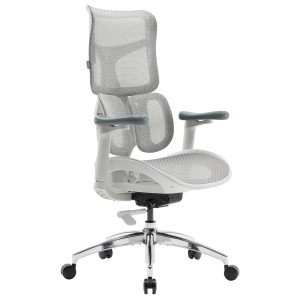 Кресло офисное Sihoo DORO S100 Mesh White - 895919