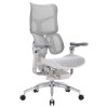 Крісло офісне Sihoo DORO S300 Mesh Light Grey світло-сірий - 895928 – мініатюра 1