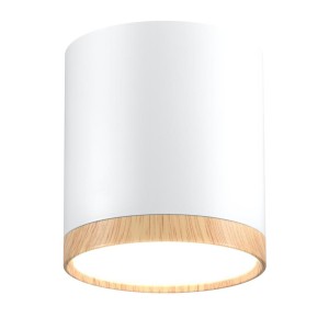 Точковий світильник Candellux 2273624 TUBA