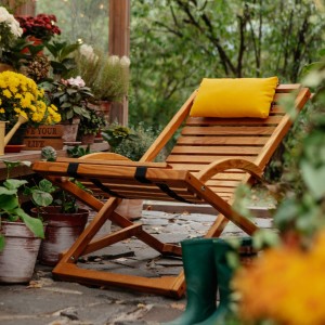 Кресло-шезлонг Wood Chalet swing