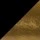 Black/BrushGold +310 грн.