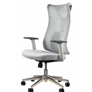 Крісло офісне-комп'ютерне ергономічне преміум HQOC-17-G