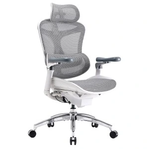 Кресло офисное Sihoo DORO C300 Pro Mesh White