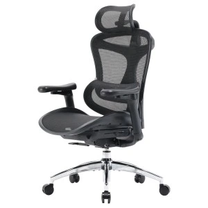 Кресло офисное Sihoo DORO C300L Mesh Black