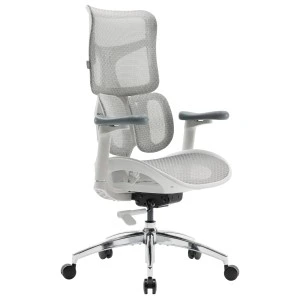 Кресло офисное Sihoo DORO S100 Mesh White