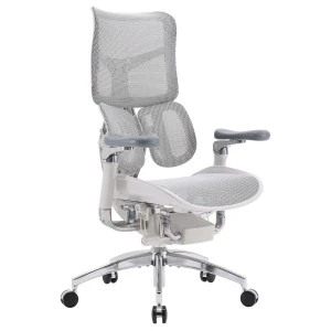 Крісло офісне Sihoo DORO S300 Mesh Light Grey