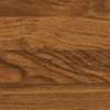 Teak 0009