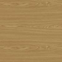 Oak 0219